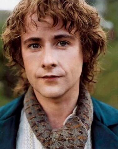 Plik:Pippin 1.jpg