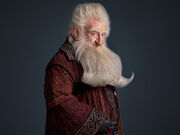Balin2