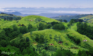 Shire4.jpg