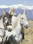 Gandalf auf Schattenfell.jpg
