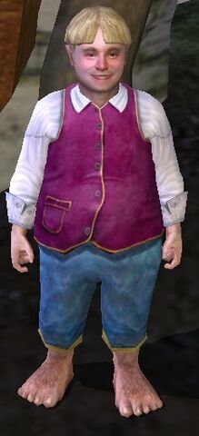 File:Bingo Boffin (LOTRO).jpg