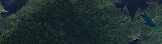 File:Forest Riverjtm.jpg