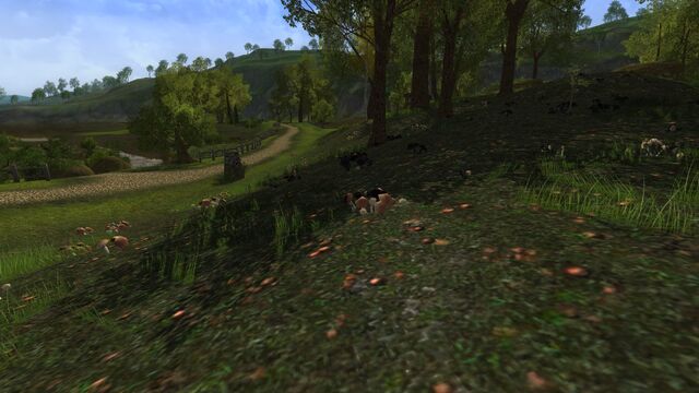 File:TheMarishLOTRO.jpg