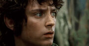 Frodo in Lothlorien.jpg