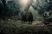 Fangorn