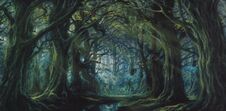 Fangorn.jpg