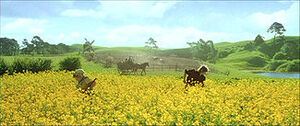 Shirewide.jpg