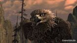Images (1)43