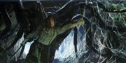 250px-Shelob1.jpg