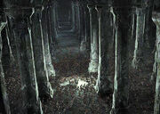 Moria2