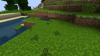 Clovers
