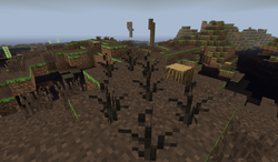 MarshPlant