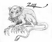 Zoog