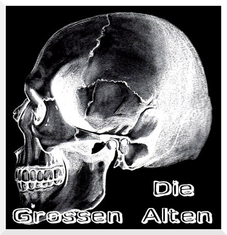 Datei:Schädel links.jpg