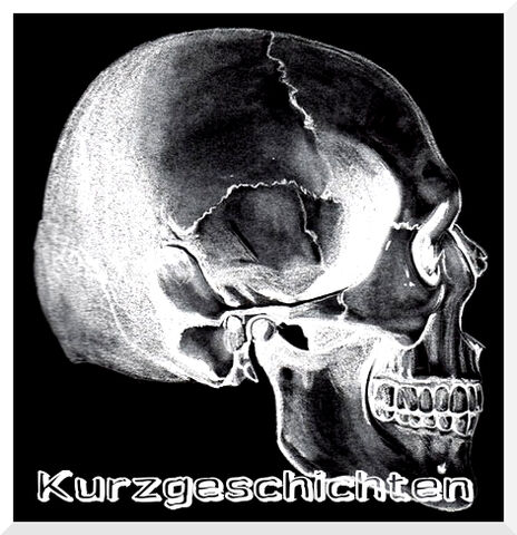 Datei:Schädel rechts.jpg