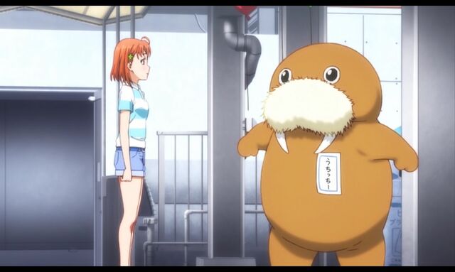 ファイル:Aquarium-11.jpg