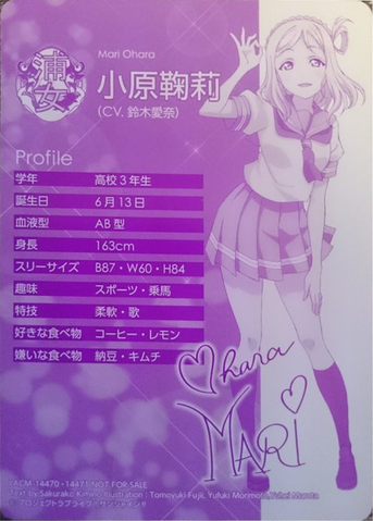 ファイル:Profile mari.png