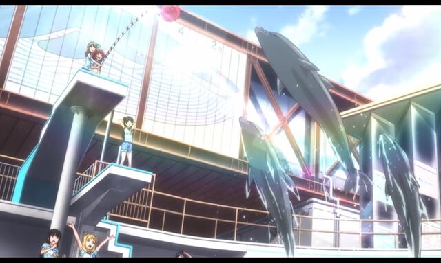 ファイル:Aquarium-21.jpg