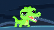 Wiggles growls