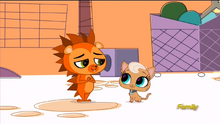 RussellWelcomesMeowMeow
