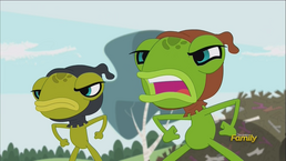 Frog guards