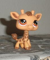 LPS 526