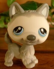 69 Husky