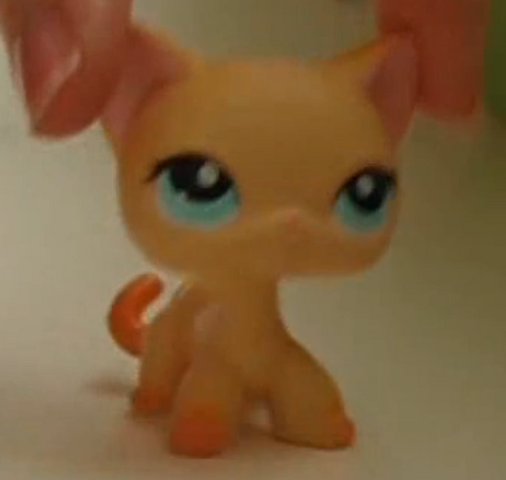 File:BrookeHayesNewLook.png