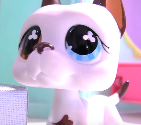 File:Episode23tomclose.png