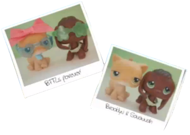 File:BFForeverBrooke&Savvy.png