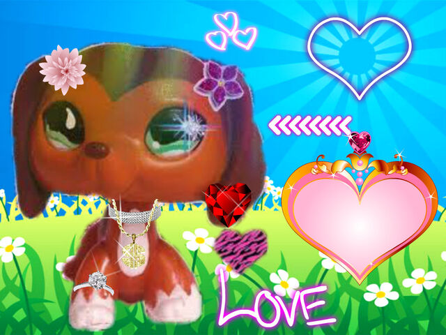 File:Pizap.com13739114848891.jpg