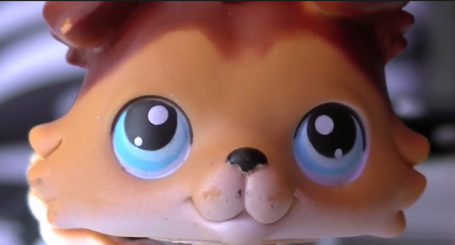 File:SageFace25.png