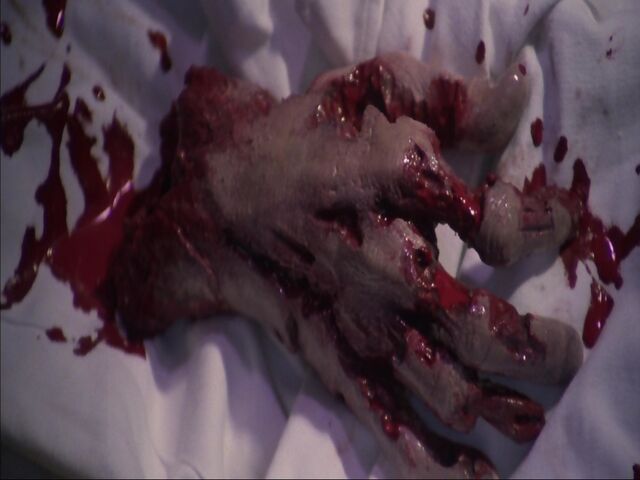 File:Zombie Hand.jpg