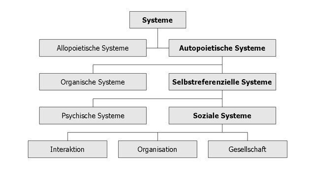 Datei:Systems Social.jpg