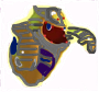 File:673px x 410px SSSS.png