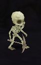 Skeleton Worker