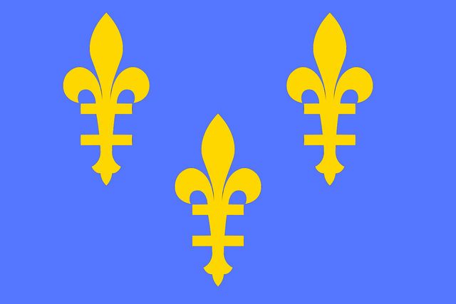 File:Fansie Flag.png