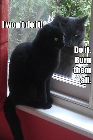 File:Funny-animal-meme-pictures-012-028.jpg