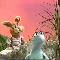 Frog Talk | Music Video Wiki | Fandom powered by Wikia