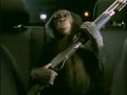TrunkMonkey