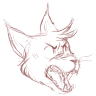 Cat-icon