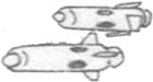 Mbr-04-mk6-uppermissile.jpg