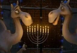 Camelgehege.jpg