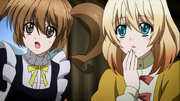 Maid and Princess