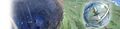 Thumbnail for version as of 15:29, June 21, 2017