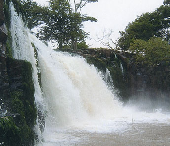 File:Nac04.jpg