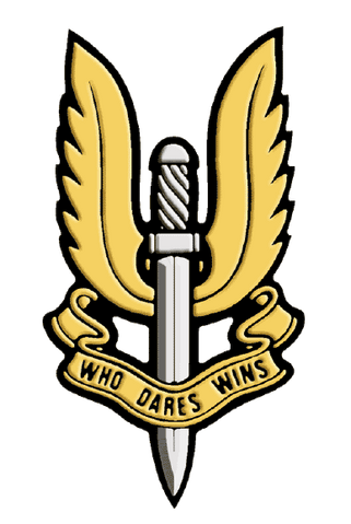 File:Sas badge.png