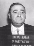 Peter Magaddino