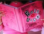 Mgmburnbook
