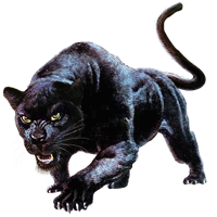 Image - Huge item blackpanther 01.png | Mafia Wars Wiki | FANDOM